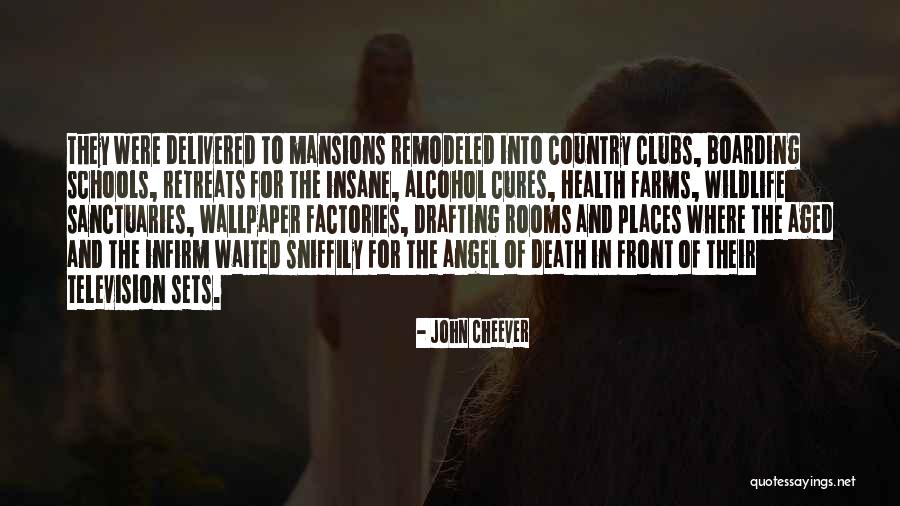 Adolf K Weismann Quotes By John Cheever Adolf K Weismann Quotes By John Cheever