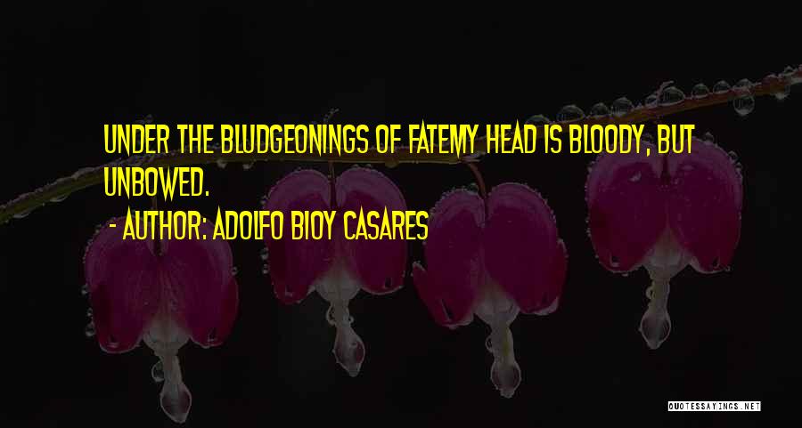 Adolfo Bioy Casares Quotes 1260654