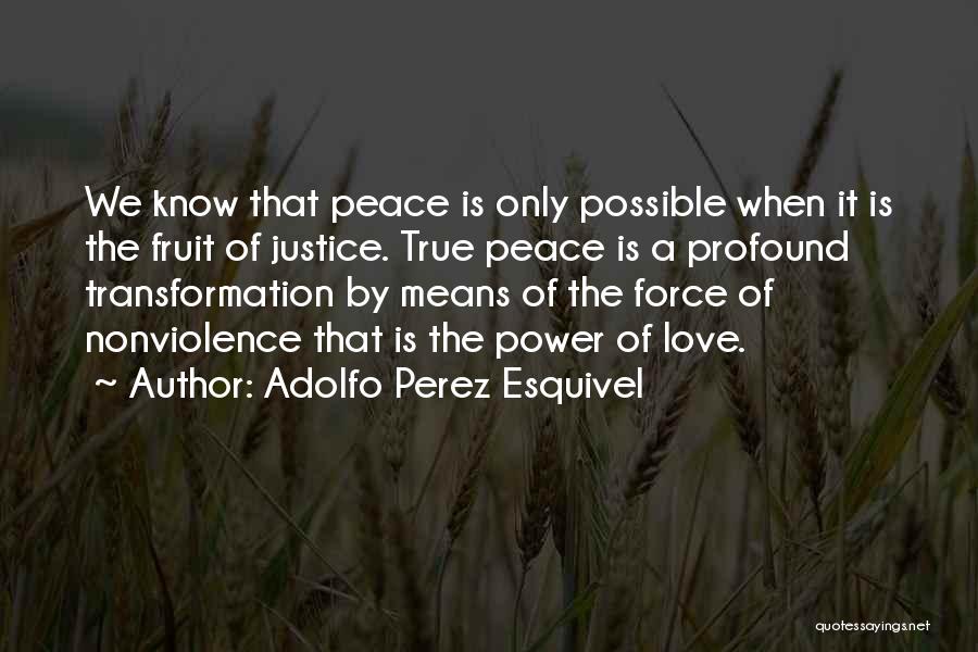 Adolfo Perez Esquivel Quotes 1952197