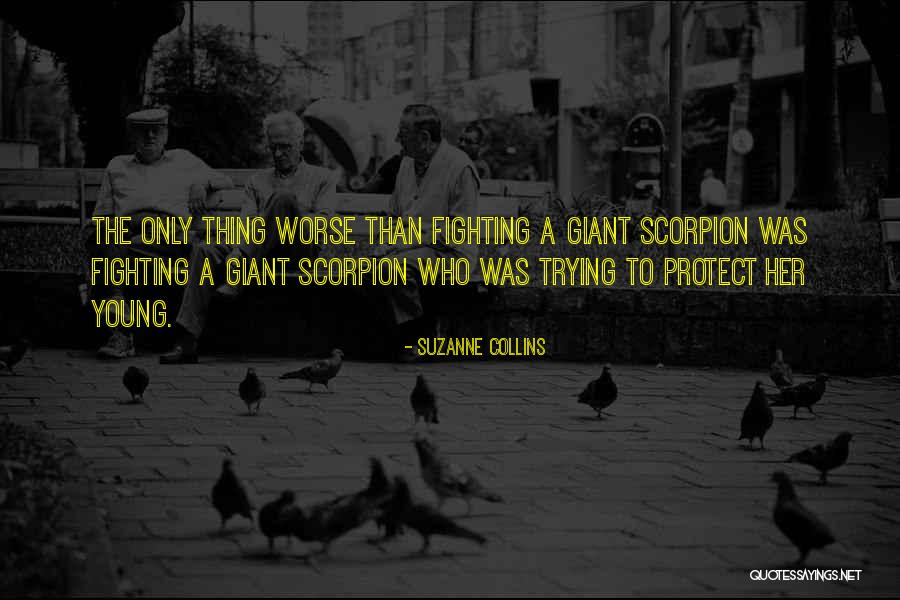 Adoloridos Tigres Quotes By Suzanne Collins Adoloridos Tigres Quotes By Suzanne Collins