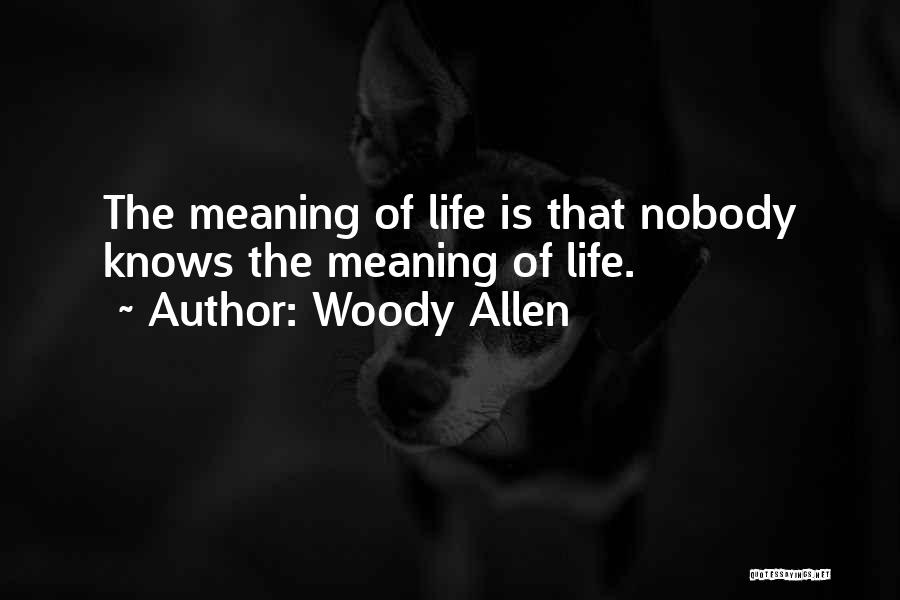 Adolph Herseth Quotes By Woody Allen