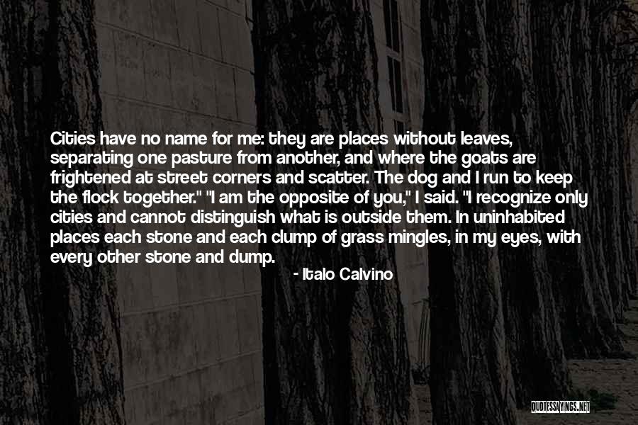 Adonai Tsuri Quotes By Italo Calvino Adonai Tsuri Quotes By Italo Calvino