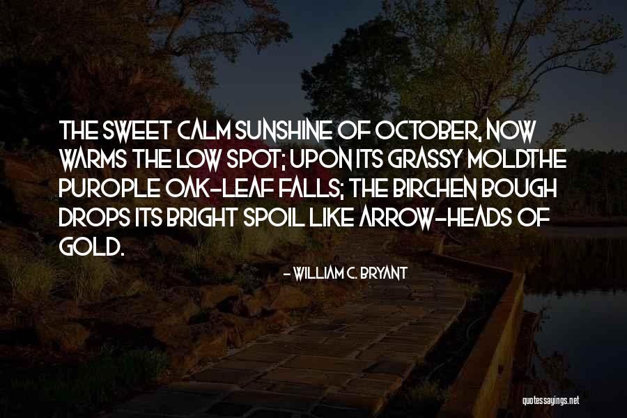Adooption Quotes By William C. Bryant Adooption Quotes By William C. Bryant