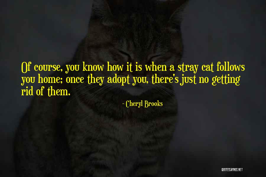 Adopt A Cat Quotes By Cheryl Brooks