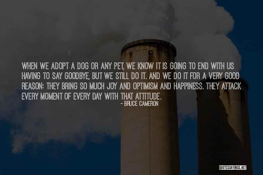 Adopt A Dog Quotes By Bruce Cameron