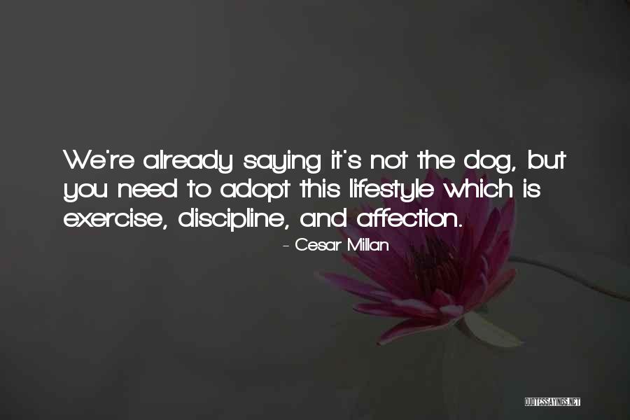 Adopt A Dog Quotes By Cesar Millan