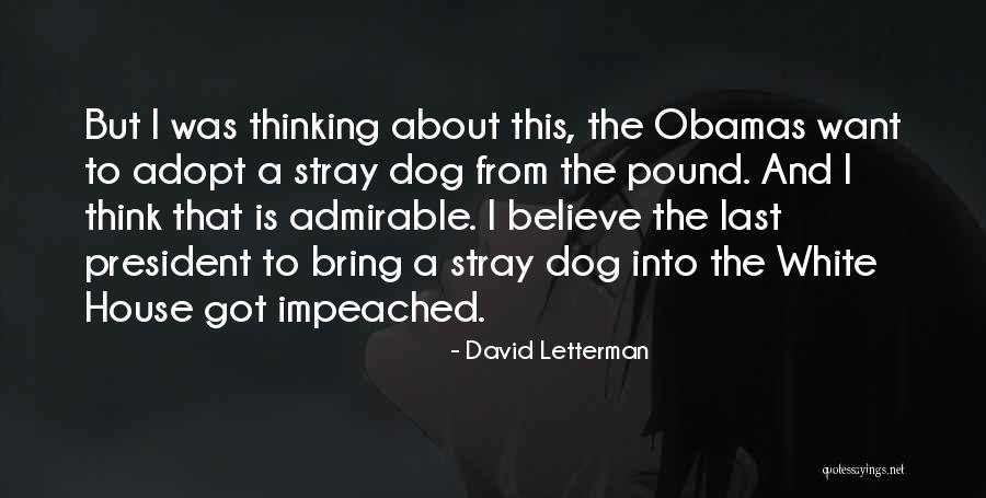 Adopt A Dog Quotes By David Letterman