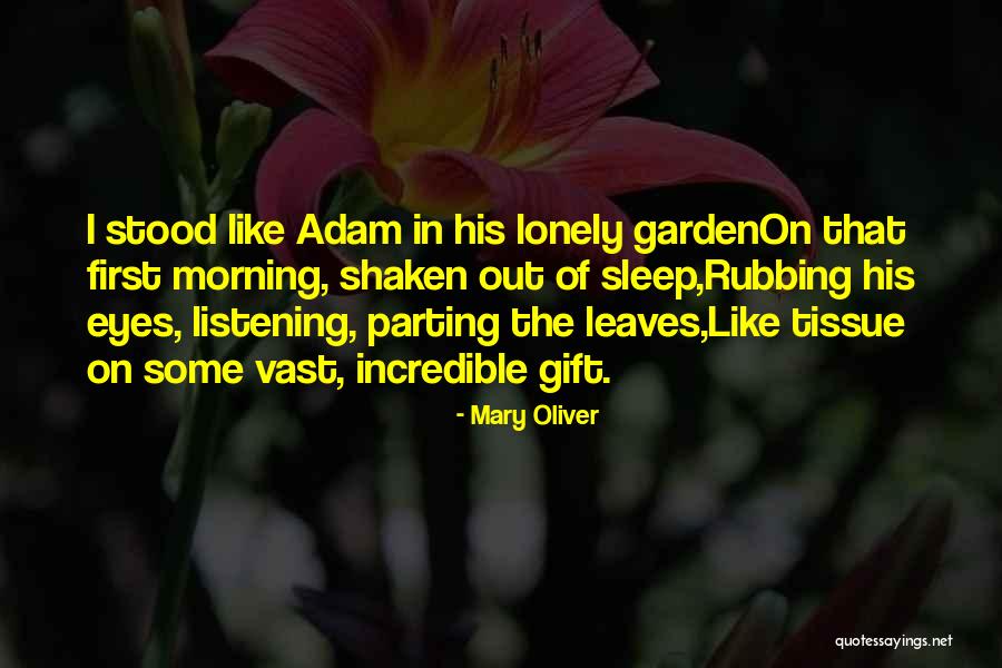 Adopt A Family Quotes By Mary Oliver Adopt A Family Quotes By Mary Oliver