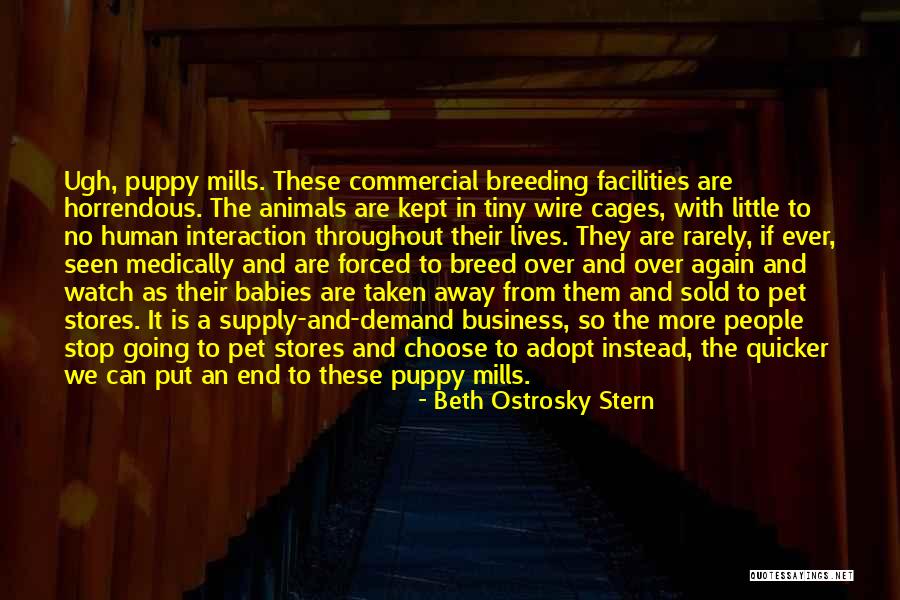 Adopt Animal Quotes By Beth Ostrosky Stern Adopt Animal Quotes By Beth Ostrosky Stern