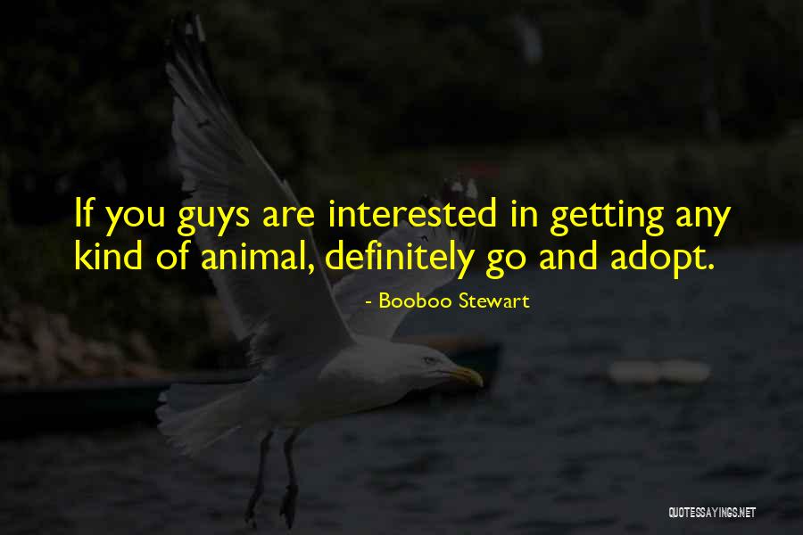Adopt Animal Quotes By Booboo Stewart Adopt Animal Quotes By Booboo Stewart