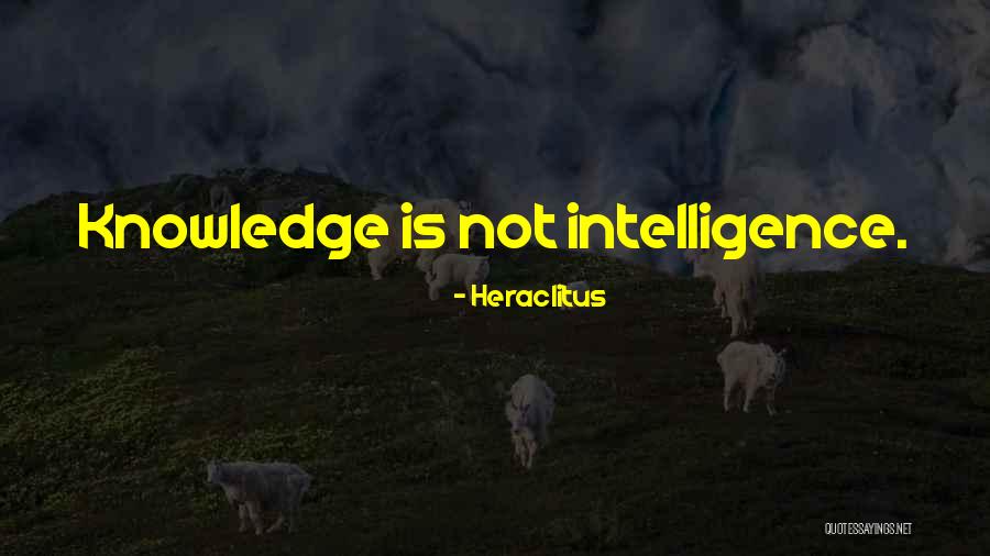 Adopt Animal Quotes By Heraclitus