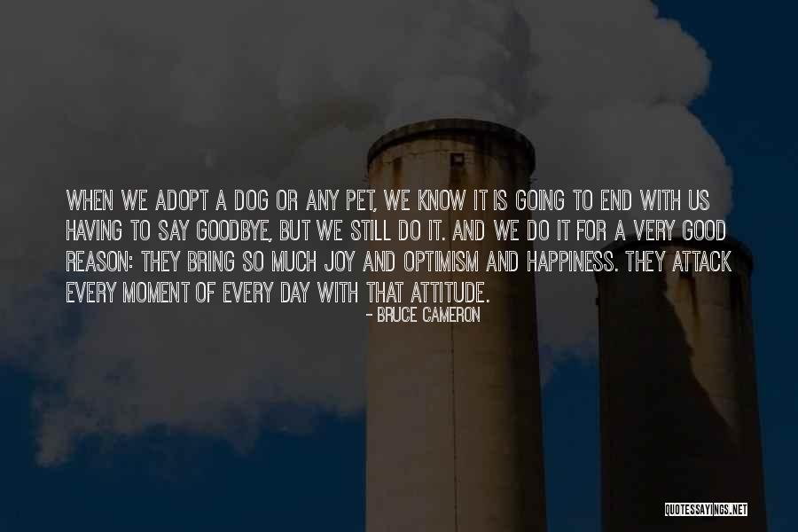 Adopt Dog Quotes By Bruce Cameron