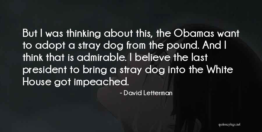 Adopt Dog Quotes By David Letterman