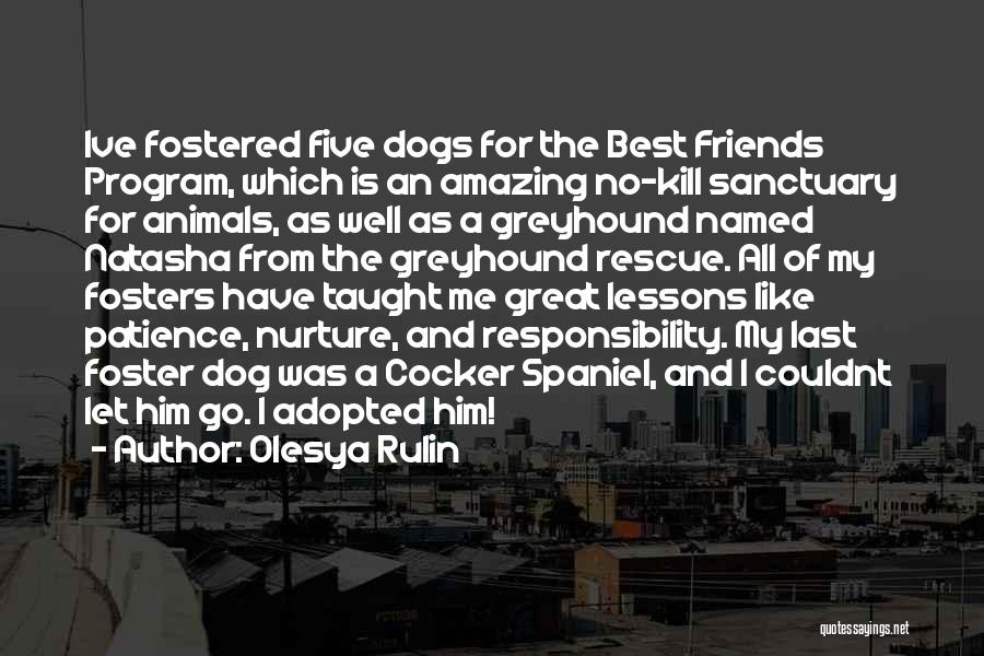 Adopted Dogs Quotes By Olesya Rulin