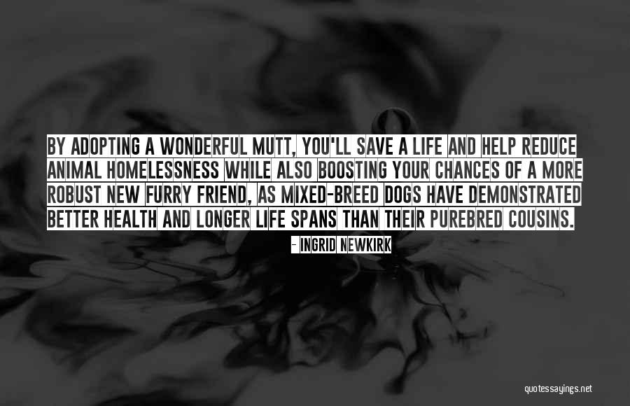Adopting An Animal Quotes By Ingrid Newkirk Adopting An Animal Quotes By Ingrid Newkirk