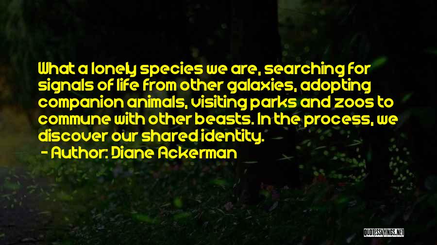 Adopting Animals Quotes By Diane Ackerman