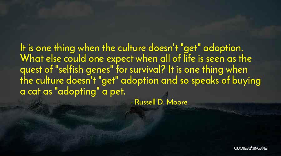Adopting Culture Quotes By Russell D. Moore Adopting Culture Quotes By Russell D. Moore
