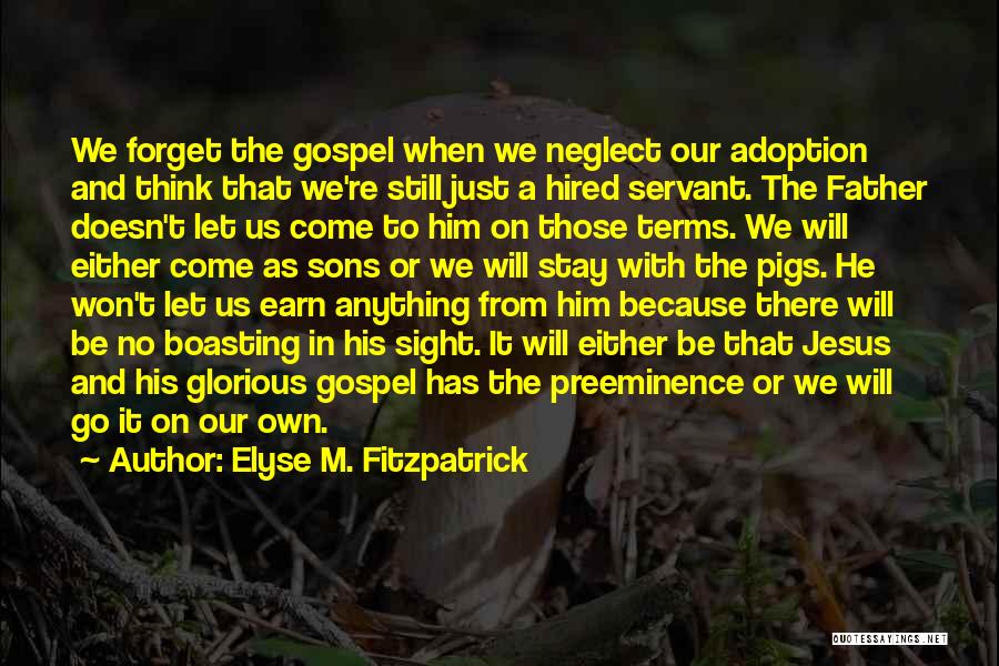 Adoption Quotes By Elyse M. Fitzpatrick