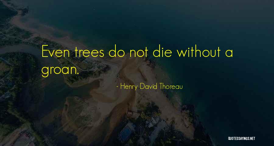 Adorabile Italian Quotes By Henry David Thoreau