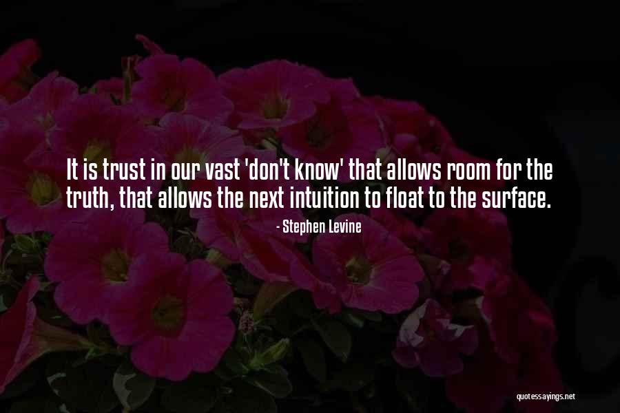 Adorarei Quotes By Stephen Levine Adorarei Quotes By Stephen Levine