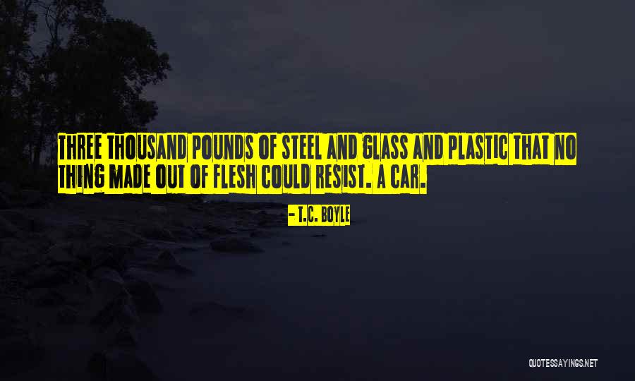 Adorasyon Quotes By T.C. Boyle Adorasyon Quotes By T.C. Boyle