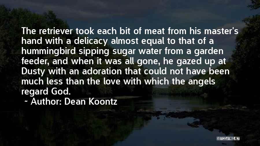 Adoration Of God Quotes By Dean Koontz