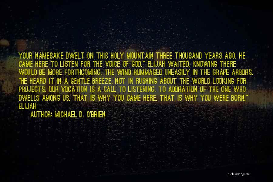 Adoration Of God Quotes By Michael D. O'Brien