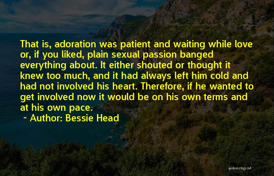 Adoration Quotes By Bessie Head