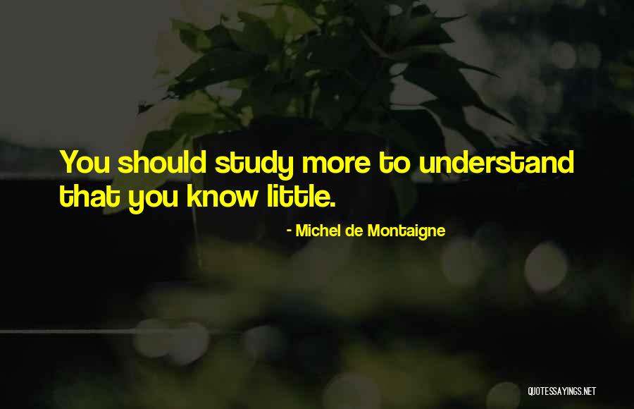Adorations Instrumental Quotes By Michel De Montaigne Adorations Instrumental Quotes By Michel De Montaigne