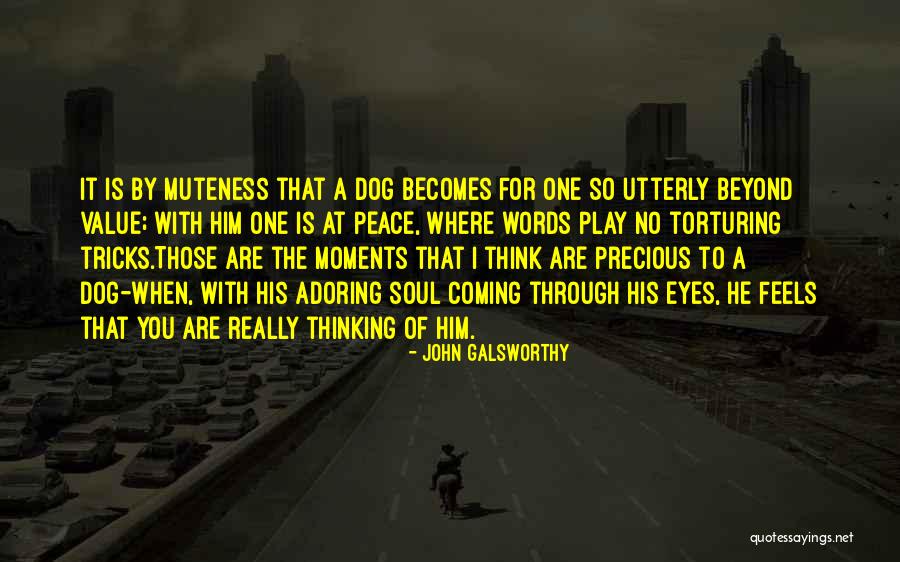 Adoring Him Quotes By John Galsworthy Adoring Him Quotes By John Galsworthy