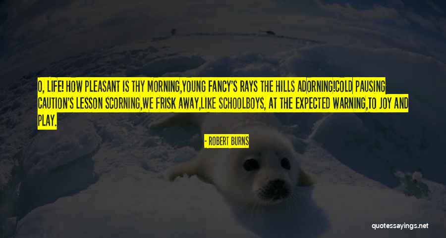 Adorning Quotes By Robert Burns Adorning Quotes By Robert Burns