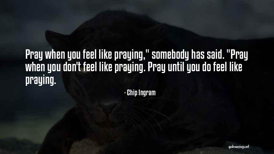 Adorns For Fishes Quotes By Chip Ingram Adorns For Fishes Quotes By Chip Ingram