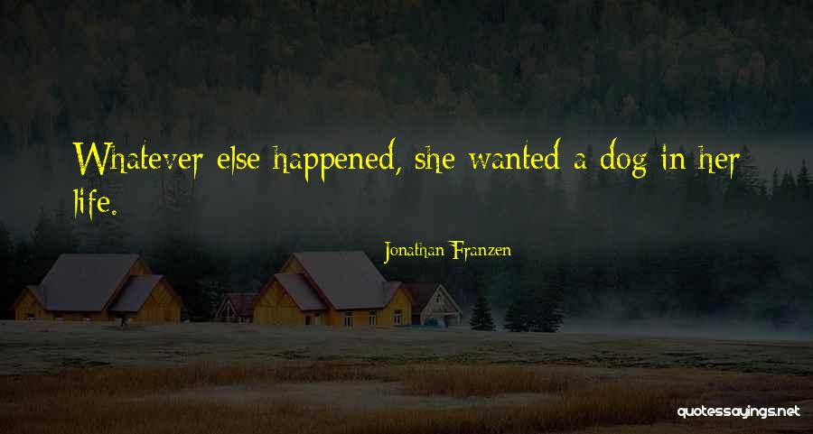 Adotar Cao Quotes By Jonathan Franzen Adotar Cao Quotes By Jonathan Franzen