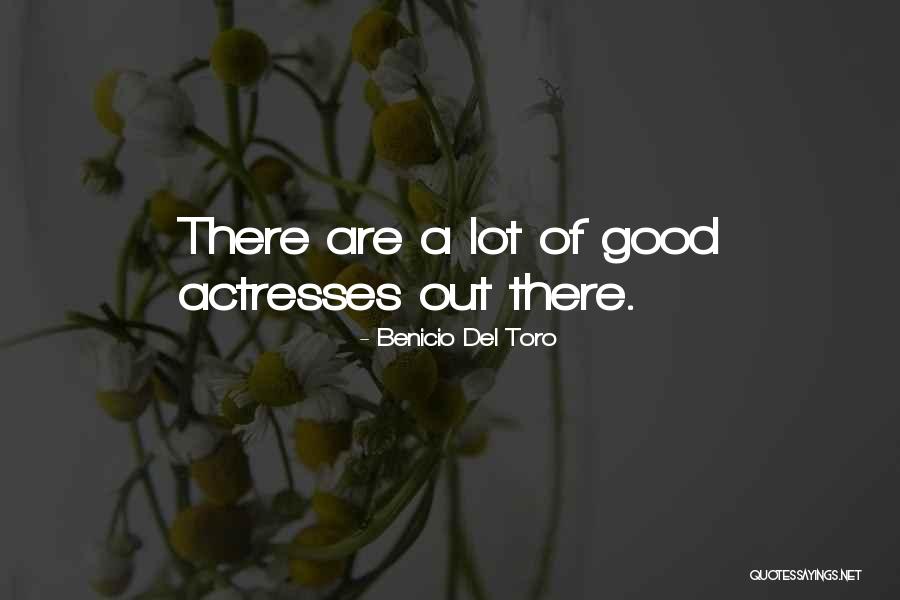 Adreana Miller Quotes By Benicio Del Toro Adreana Miller Quotes By Benicio Del Toro