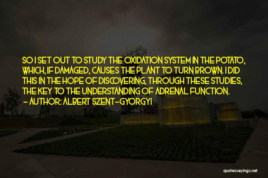 Adrenal Quotes By Albert Szent-Gyorgyi