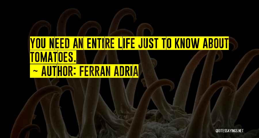 Adria Ferran Quotes By Ferran Adria