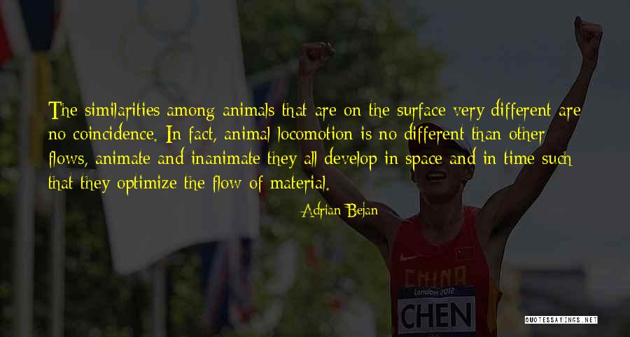 Adrian Bejan Quotes 358324