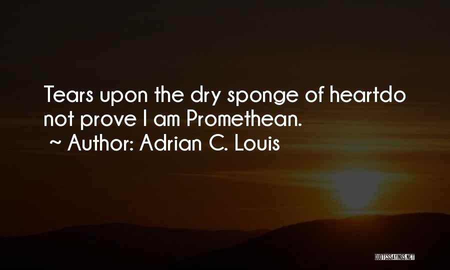 Adrian C. Louis Quotes 1730325