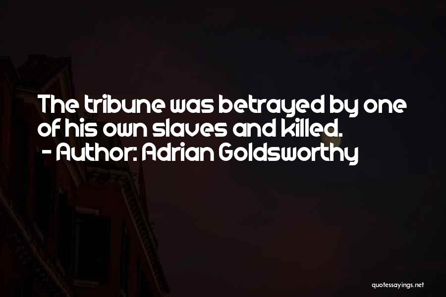 Adrian Goldsworthy Quotes 516961