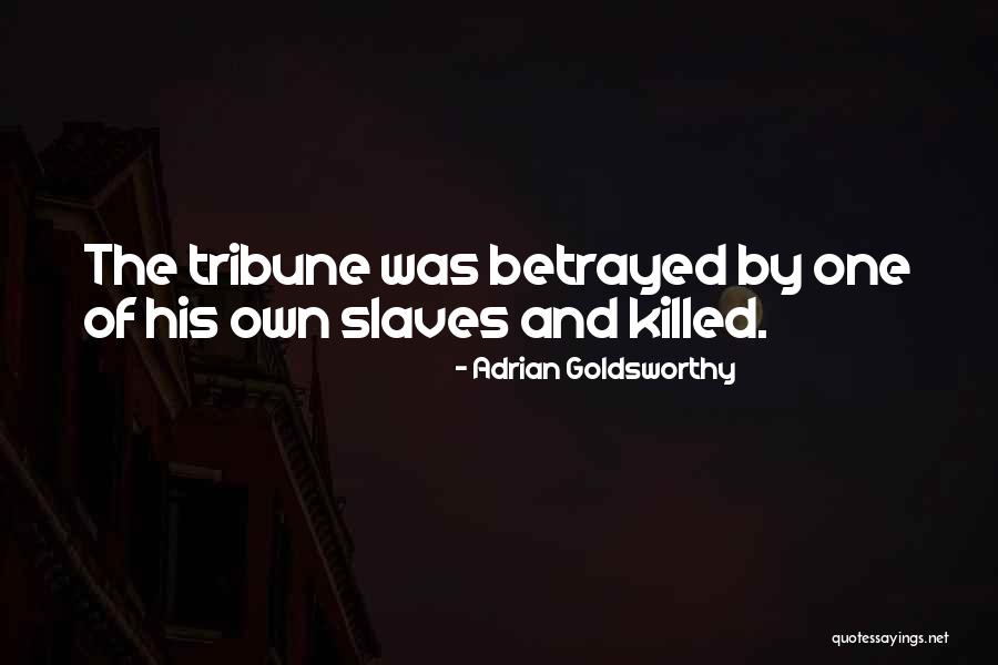 Adrian Goldsworthy Quotes 516961 Adrian Goldsworthy Quotes 516961