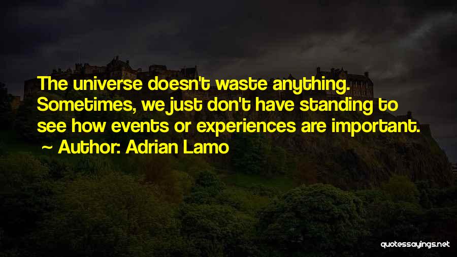 Adrian Lamo Quotes 1720989