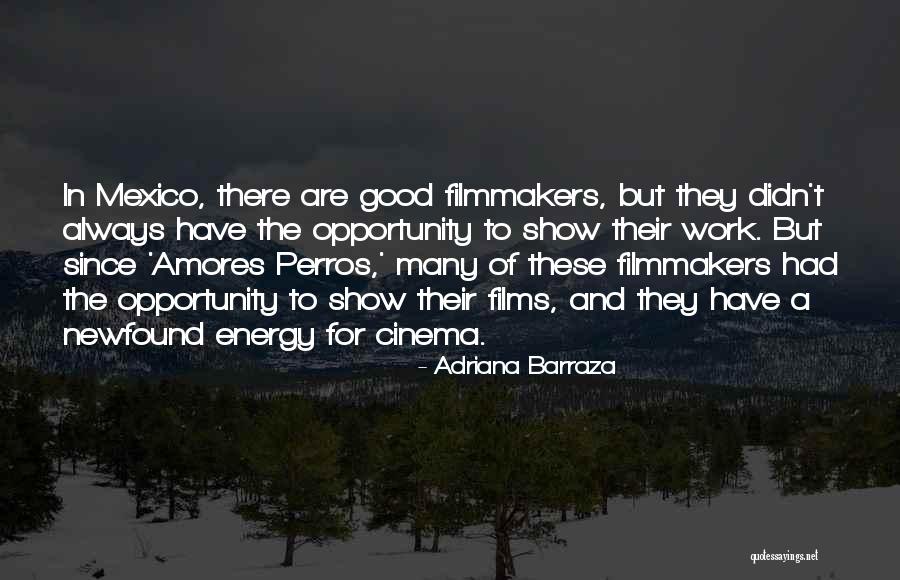 Adriana Barraza Quotes 900550 Adriana Barraza Quotes 900550