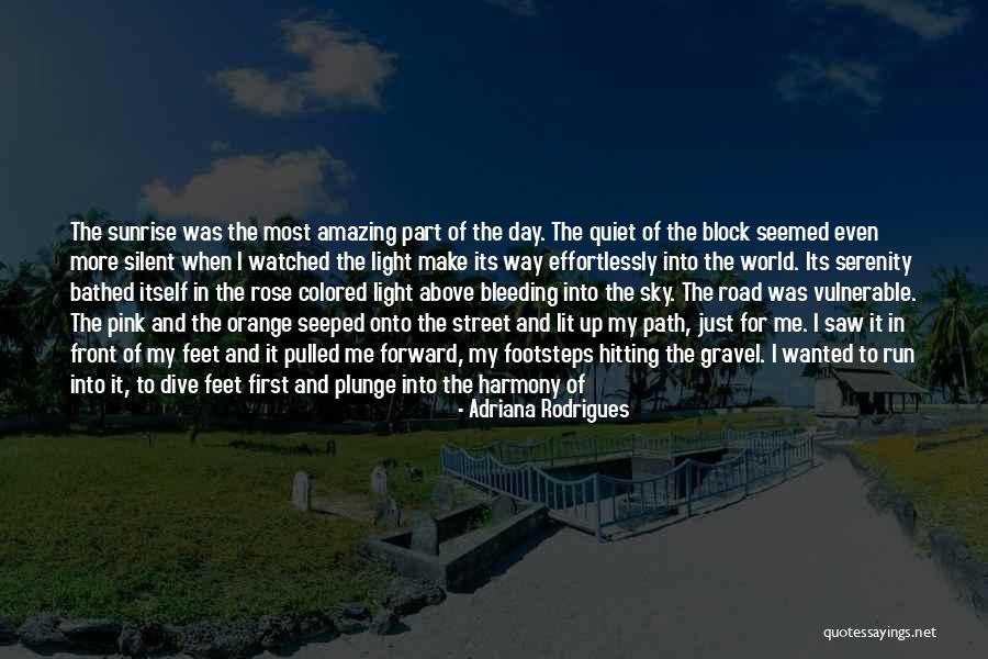 Adriana Rodrigues Quotes 848461 Adriana Rodrigues Quotes 848461