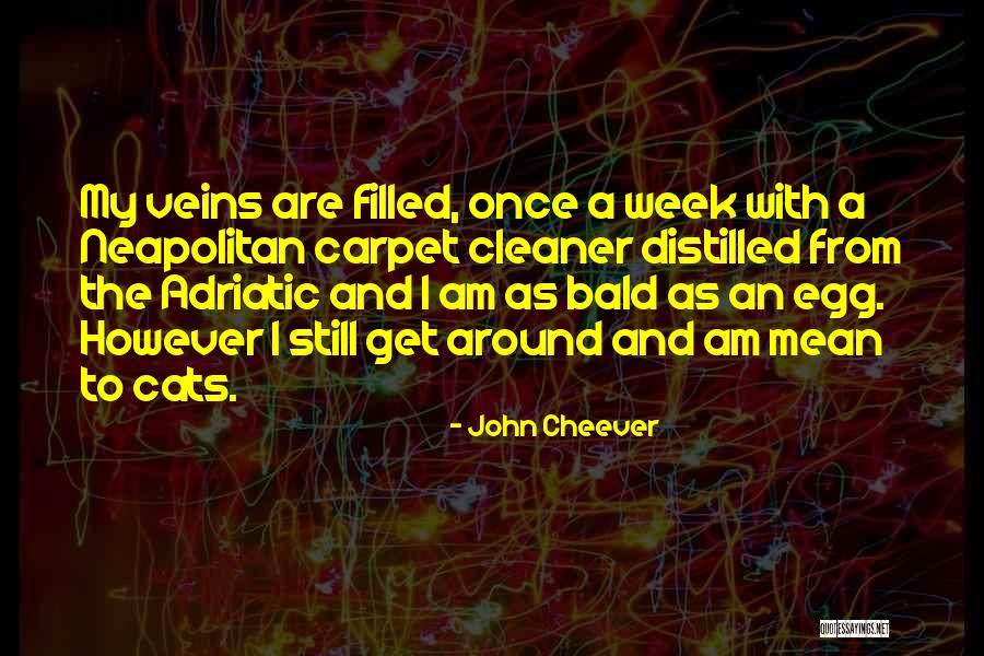 Adriatic Quotes By John Cheever Adriatic Quotes By John Cheever