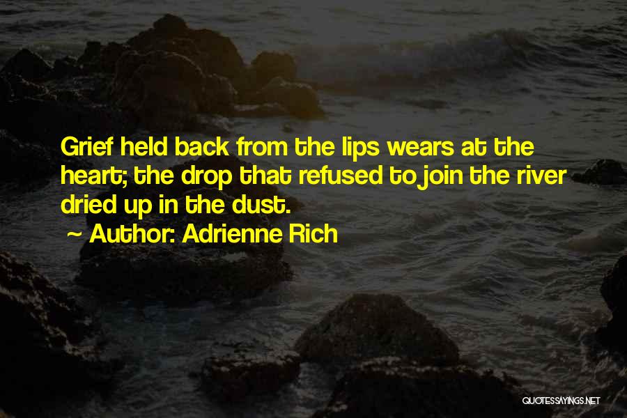 Adrienne Rich Quotes 141509