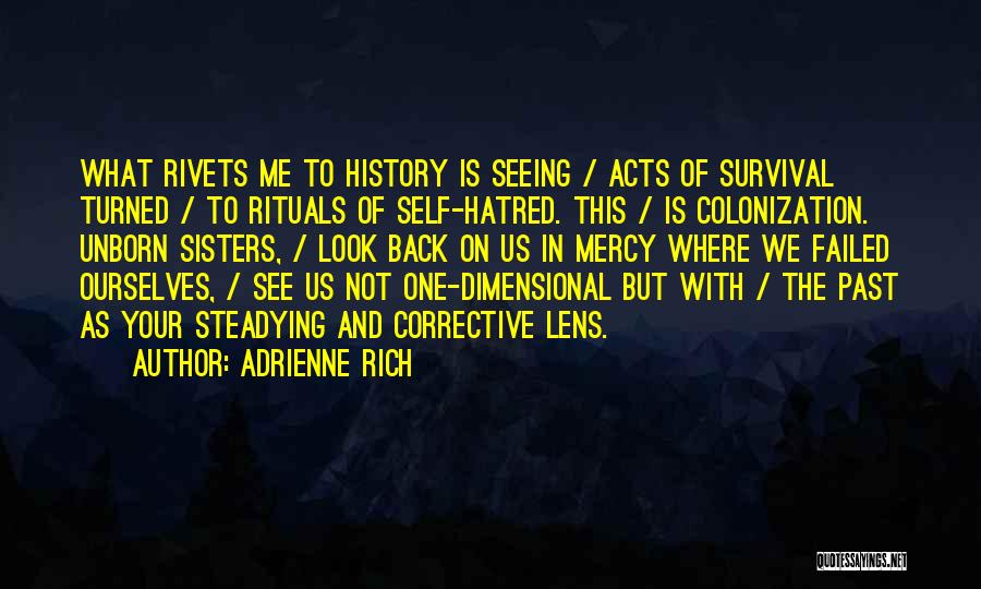 Adrienne Rich Quotes 1898959