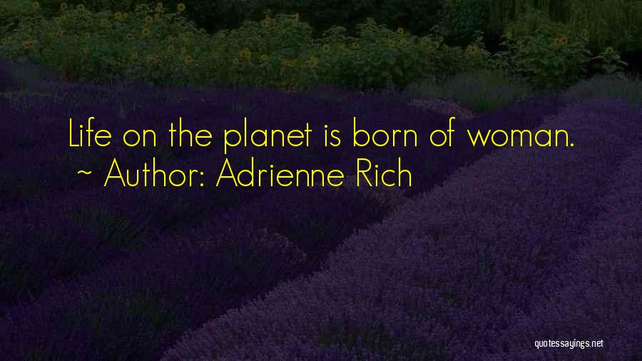 Adrienne Rich Quotes 543429