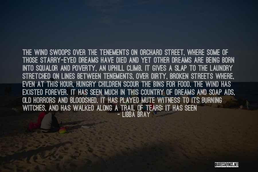 Ads Quotes By Libba Bray Ads Quotes By Libba Bray