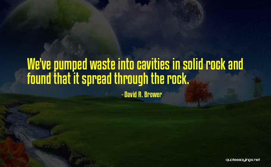 Adsmore Quotes By David R. Brower Adsmore Quotes By David R. Brower