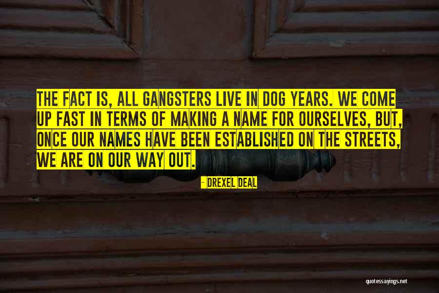 Adugate Quotes By Drexel Deal Adugate Quotes By Drexel Deal